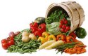 harvest of healthy and abundant vegetables